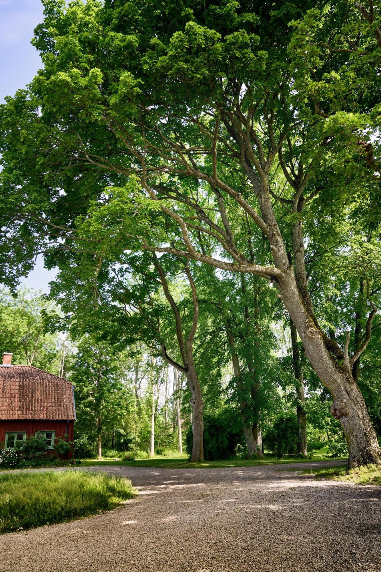 Kungs Starby Gard Bed And Breakfast Vadstena Εξωτερικό φωτογραφία